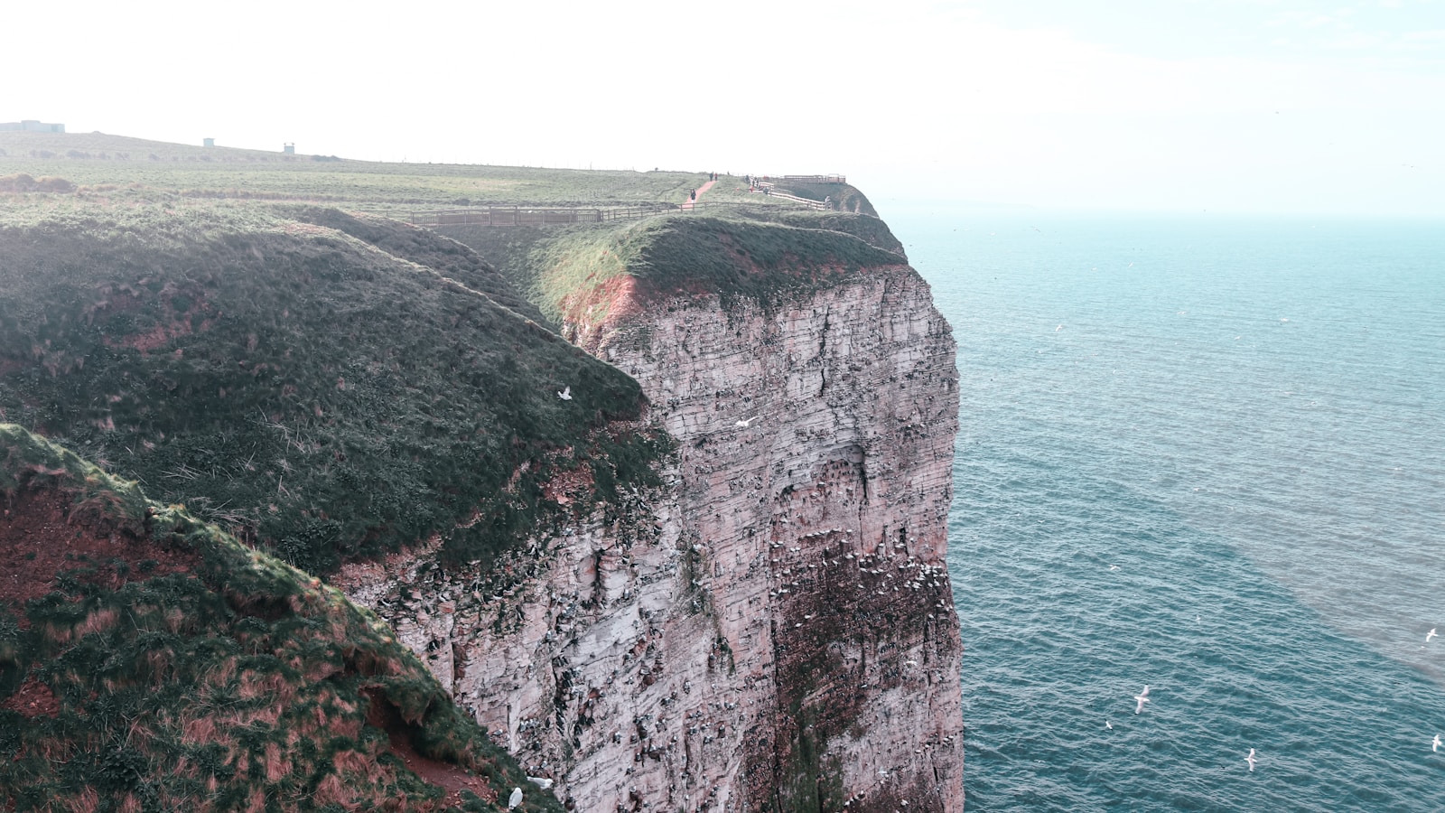 Coasteering Uncovered: The Ultimate Guide to Coastal Adventure