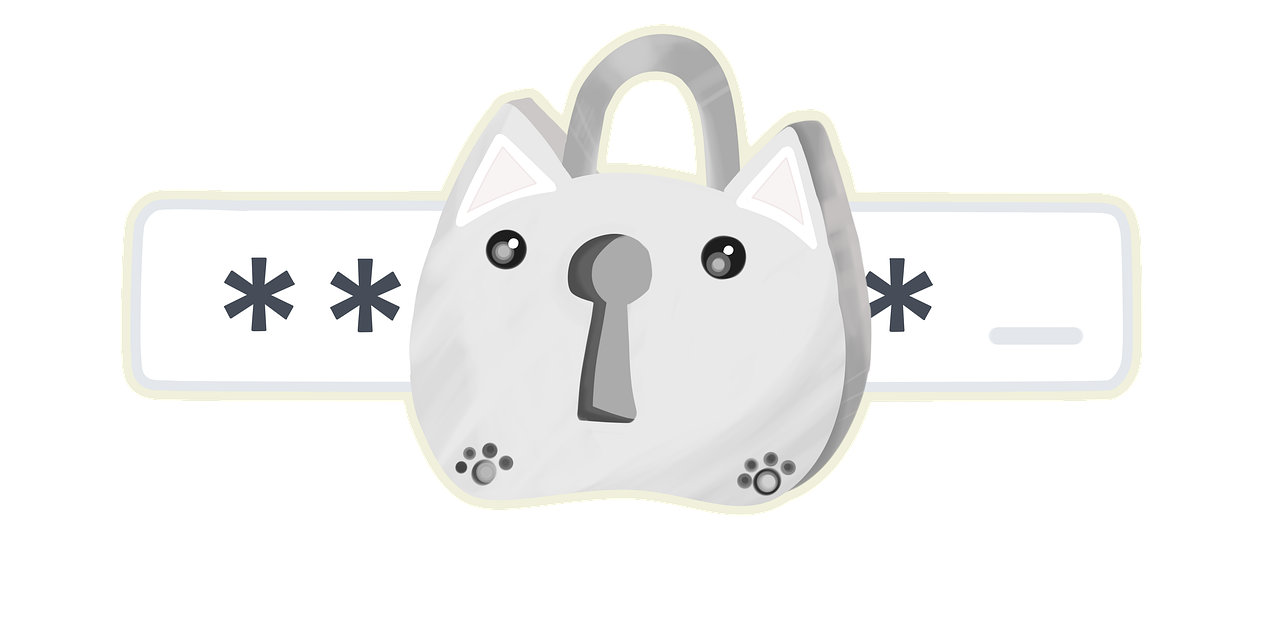 Safe Ways to Use Public Password List Checks