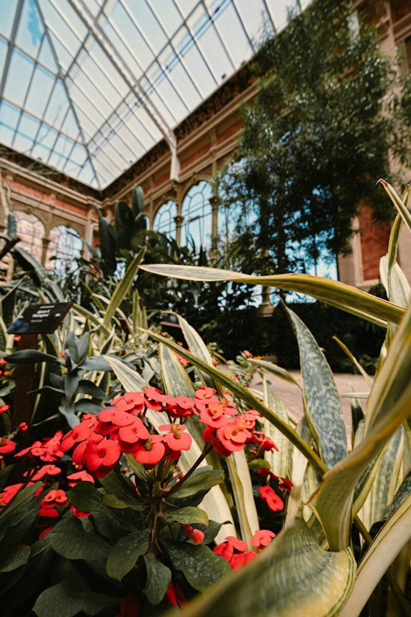 What Does It Cost to Replace a Conservatory Roof in Manchester?